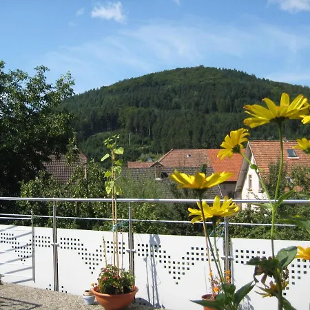 Ferienwohnung Jackle *